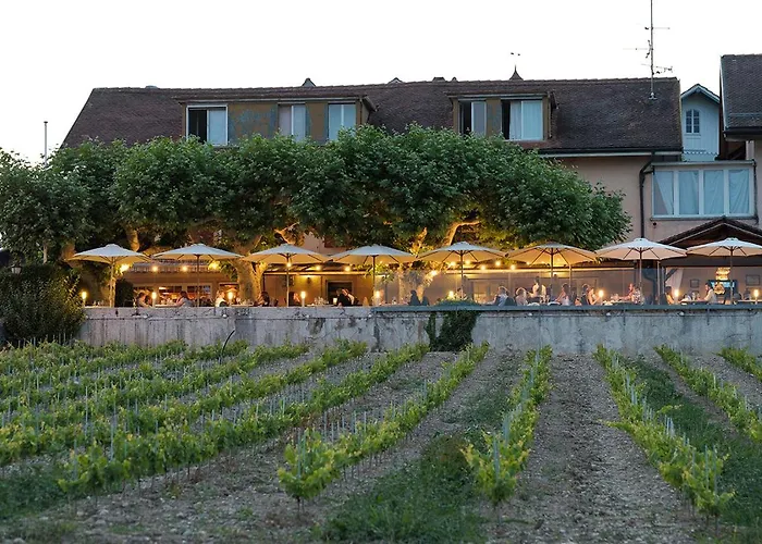 Auberge De Duillier